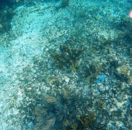Luna Maya Beach